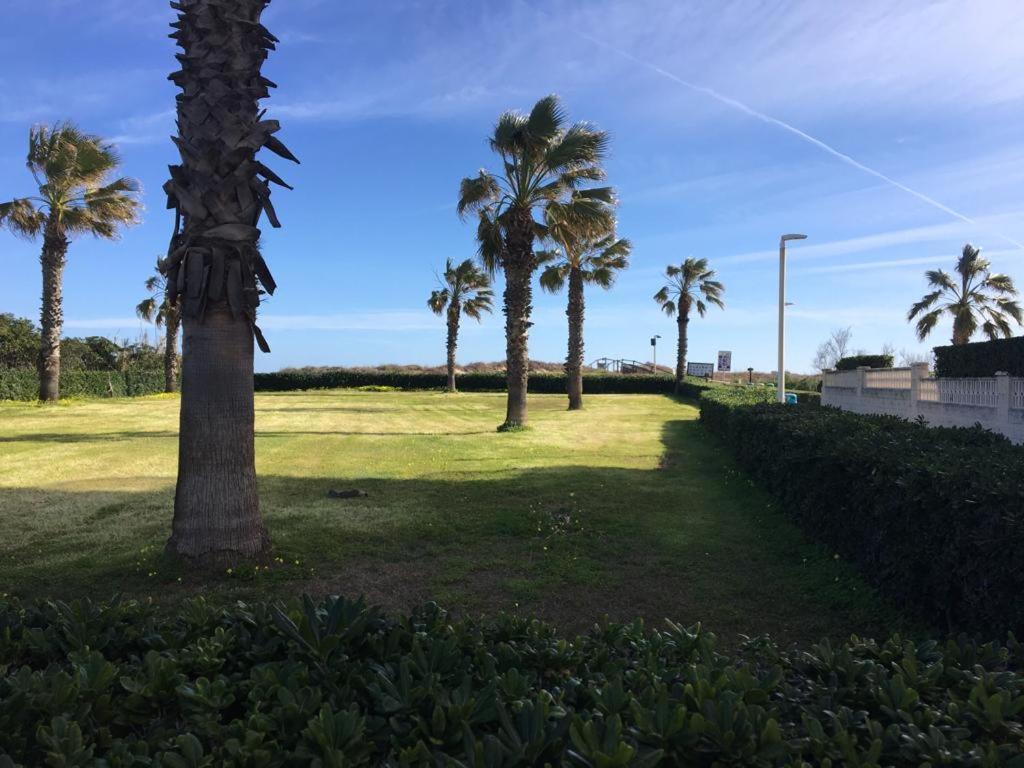 Apartamento A 100 Metros De La Playa Con Grande Terraza Y Vistas Al Mar ไดมุซ ภายนอก รูปภาพ